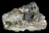 Metallic Pyrargyrite Crystal Cluster - Mexico #127009-1